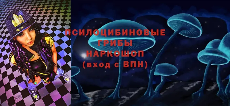 OMG ссылки  Кольчугино  Псилоцибиновые грибы Psilocybe 